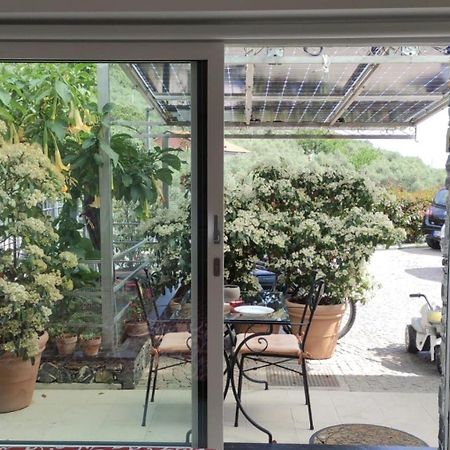 La Casa Negli Ulivi Apartamento Chiavari Exterior foto